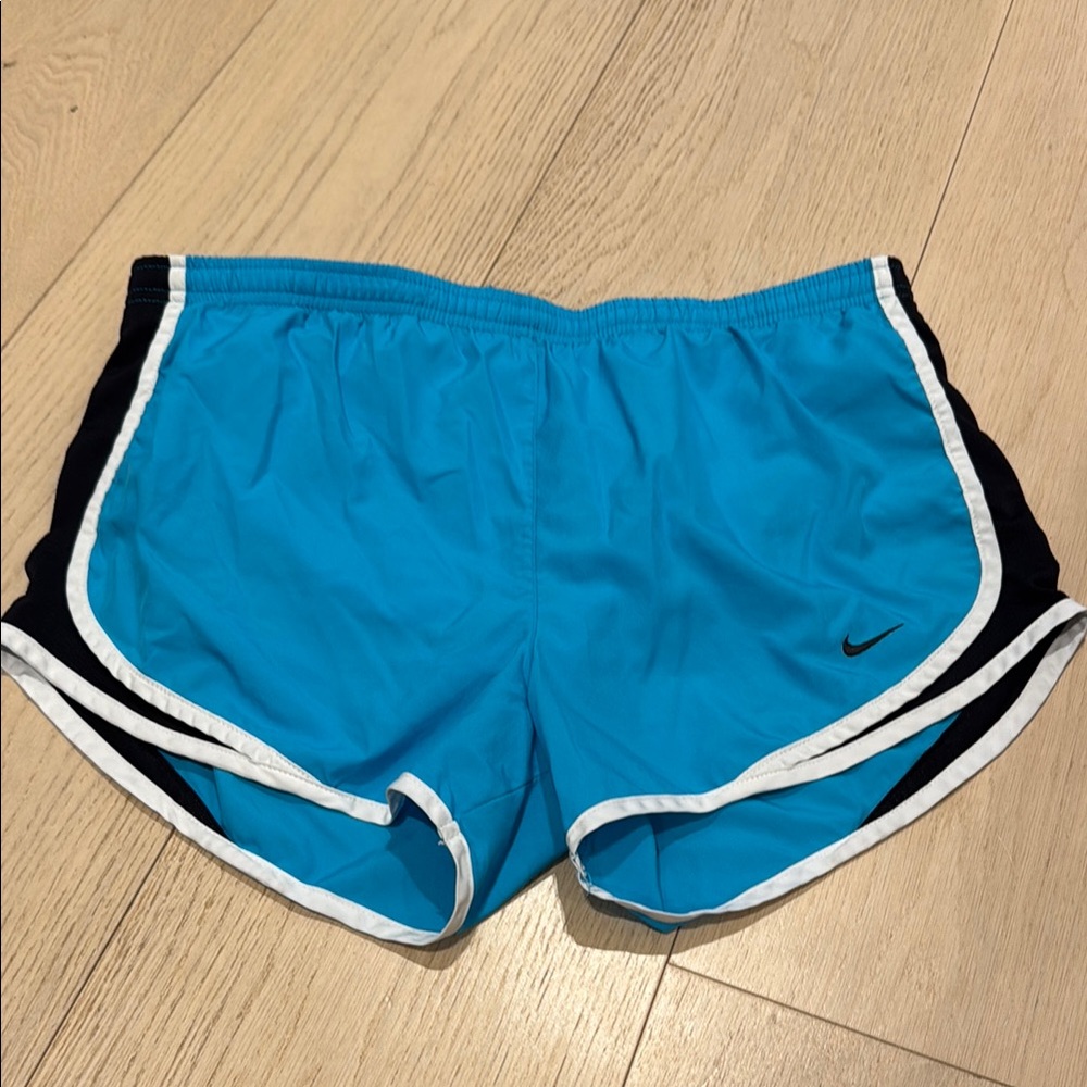 Nike Blue Athletic Shorts